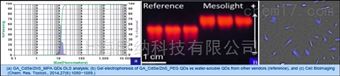 水溶性量子點