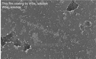 Monolayer WSe2 Solution 單層二硒化鎢溶液